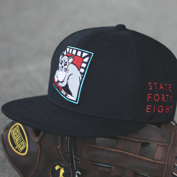 Baseballism x State Forty Eight: Gorra de gato con cola anillada de edición limitada 2019