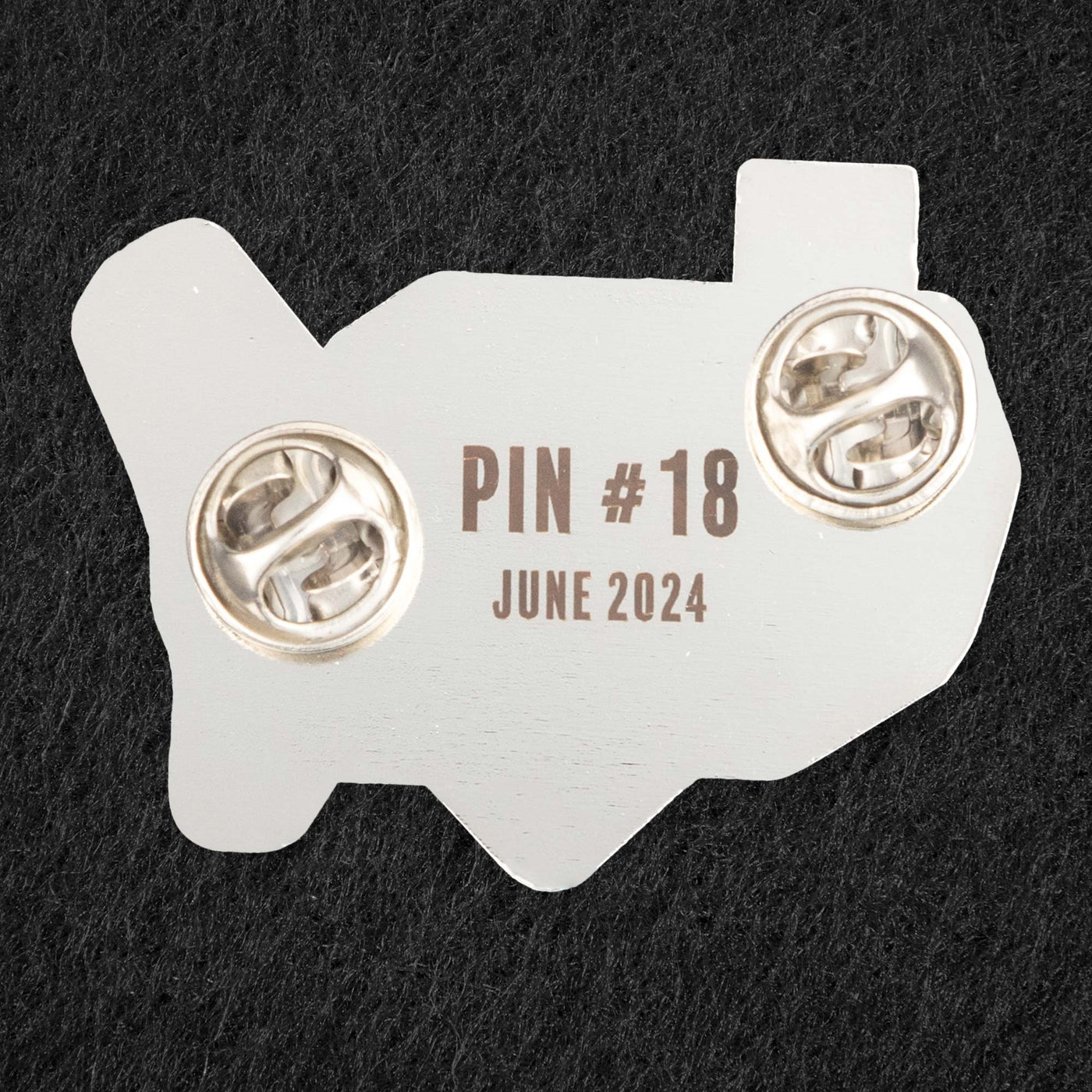 Pin of the Month - June 2024 - Baseball Lives Here