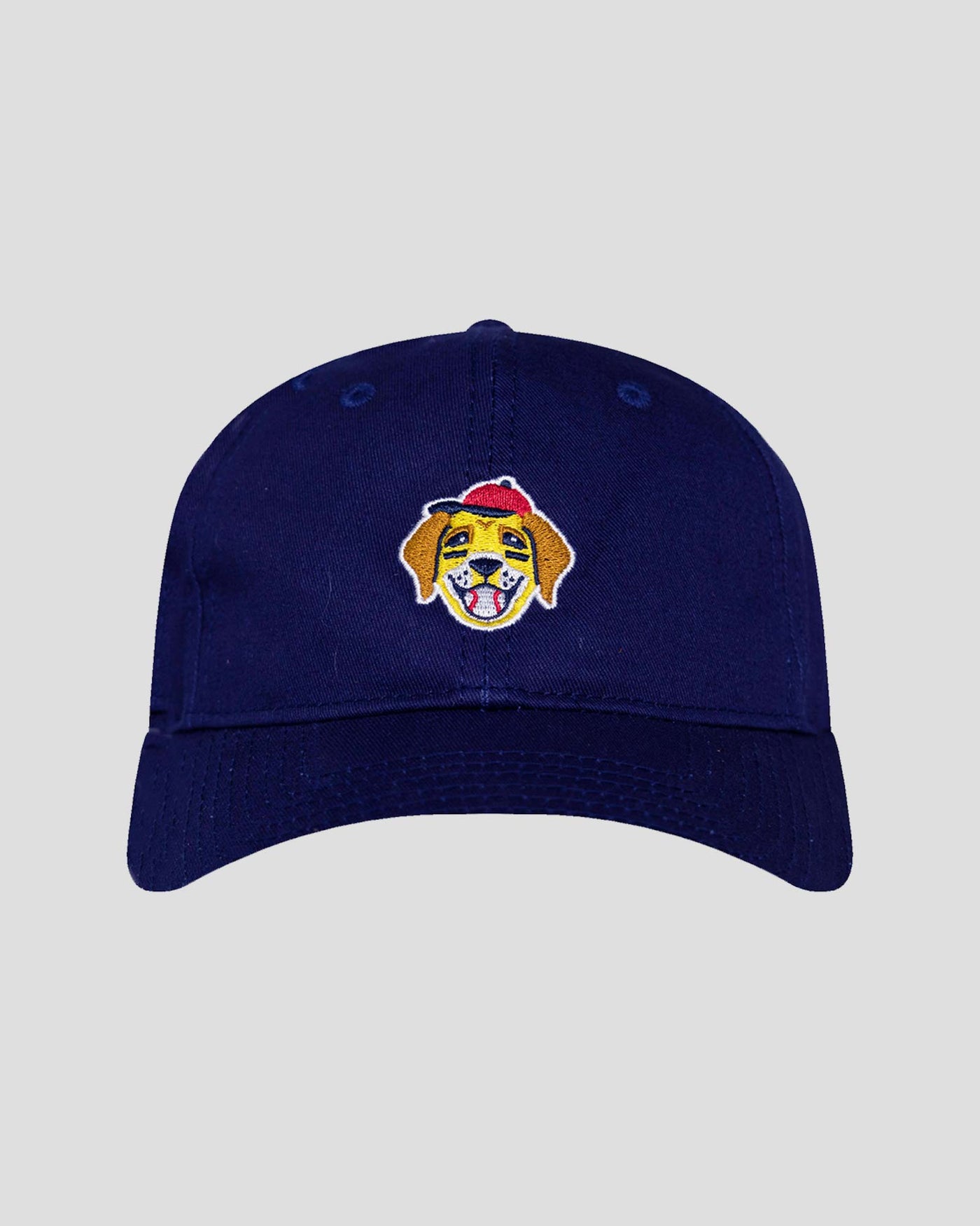 Retriever - Gorra de ajuste relajado (Colección Bow Wow) 