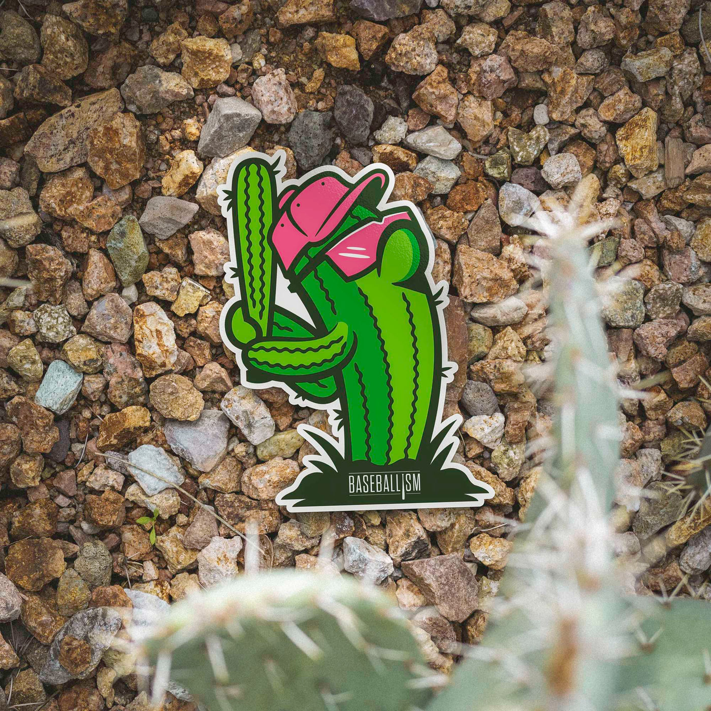 Swinging Cactus Sticker - Baseballism Online