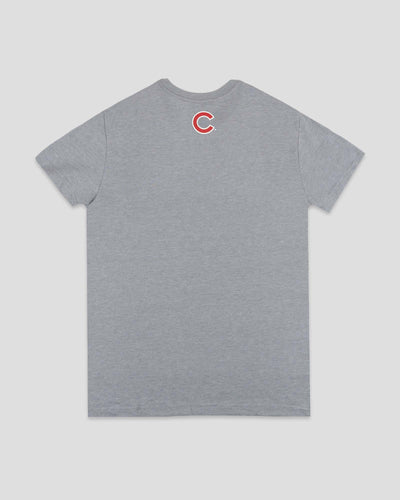 Anthem - Chicago Cubs - Baseballism Online