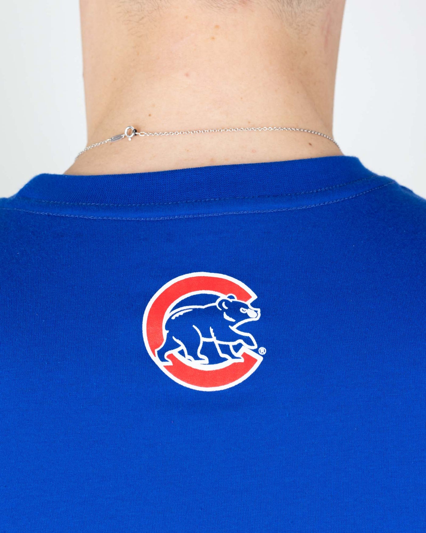 Get Your Peanuts! - Chicago Cubs - Baseballism Online